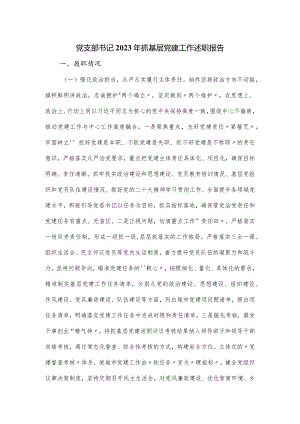 党支部书记2023年抓基层党建工作述职报告.docx