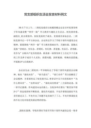 党支部组织生活会发言材料例文.docx