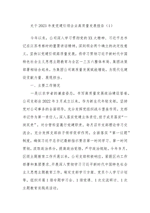 关于2023年度党建引领企业高质量发展报告参考.docx