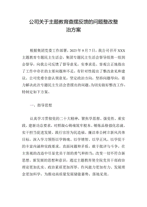 公司关于主题教育查摆反馈的问题整改整治方案.docx