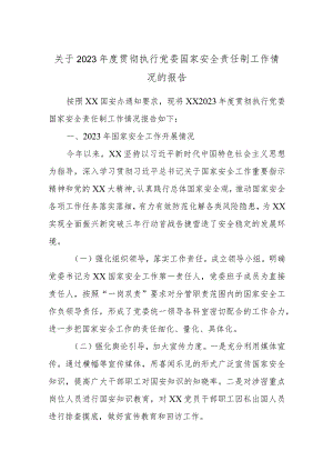 关于2023-2024年度贯彻执行党委国家安全责任制工作情况的报告.docx