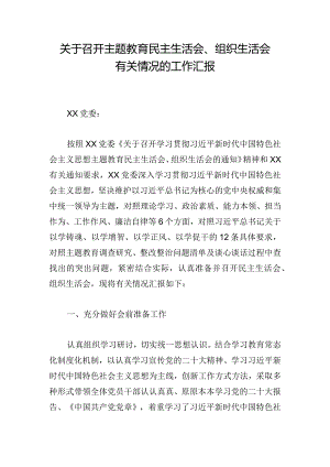 关于召开主题教育民主生活会、组织生活会有关情况的工作汇报.docx