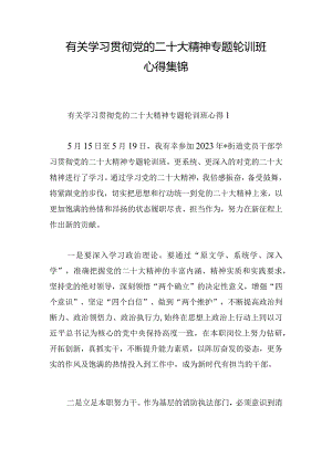 有关学习贯彻党的二十大精神专题轮训班心得集锦.docx