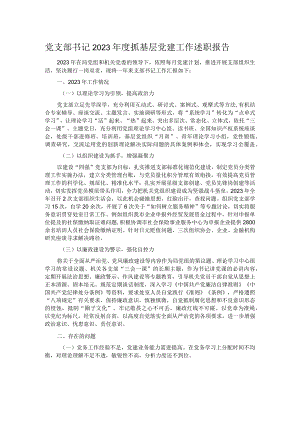 党支部书记2023年度抓基层党建工作述职报告.docx