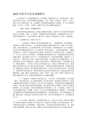 2023年副书记述责述廉报告.docx