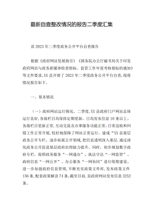 最新自查整改情况的报告二季度汇集.docx