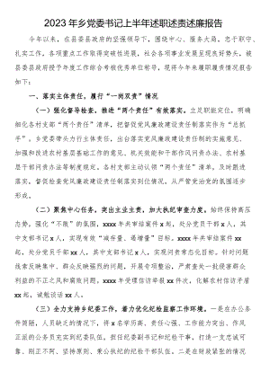 2023年乡党委书记上半年述职述责述廉报告.docx