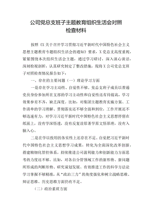 公司党总支班子主题教育组织生活会对照检查材料.docx