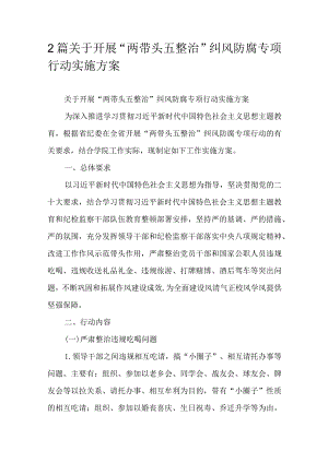 2篇关于开展“两带头五整治”纠风防腐专项行动实施方案.docx