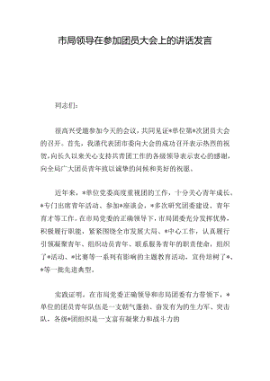市局领导在参加团员大会上的讲话发言.docx
