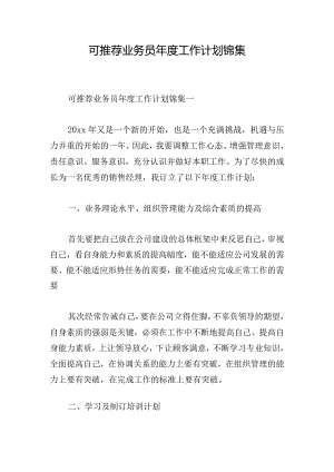 可推荐业务员年度工作计划锦集.docx