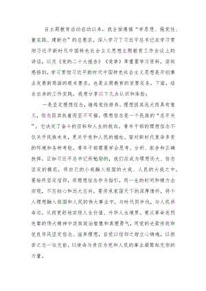 2023年主题教育理论学习专题研讨会发言提纲范文两篇.docx