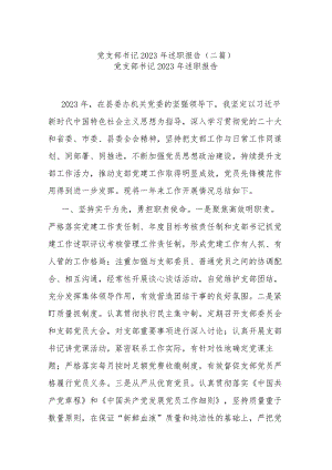 党支部书记2023年述职报告(二篇).docx