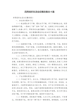 四亮组织生活会后整改集合4篇.docx