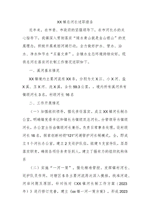 XX镇总河长述职报告.docx