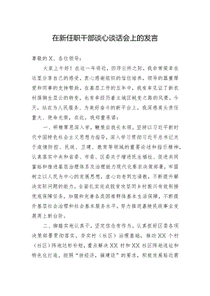 在新任职干部谈心谈话会上的发言 .docx