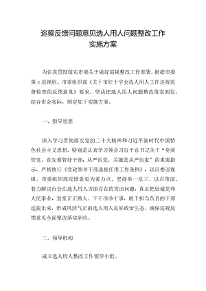巡察反馈问题意见选人用人问题整改工作实施方案.docx