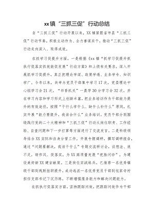xx镇“三抓三促”行动总结.docx