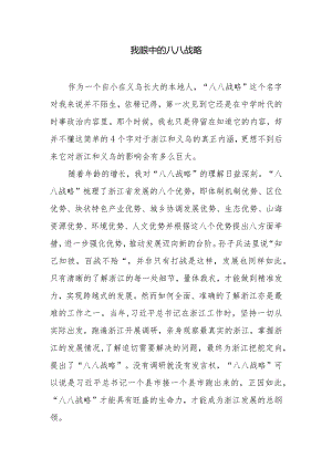 我眼中的八八战略.docx