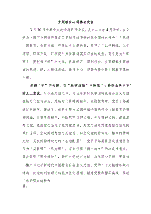 主题教育心得体会发言.docx