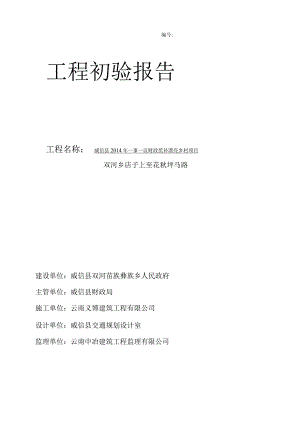 工程初验报告.docx