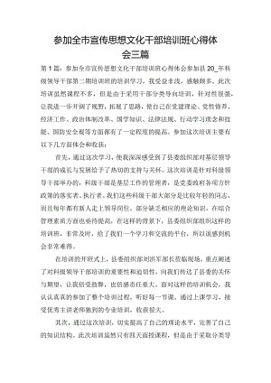 参加全市宣传思想文化干部培训班心得体会三篇.docx