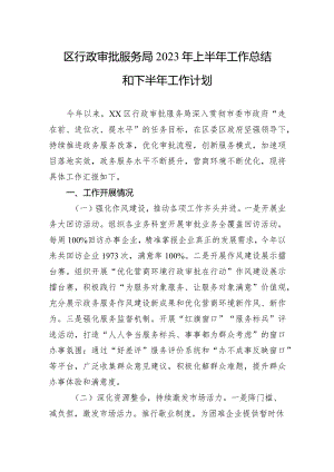 区行政审批服务局2023年上半年工作总结和下半年工作计划(20230904).docx