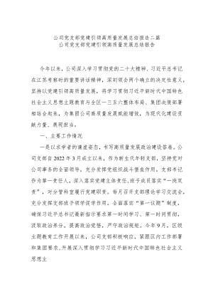 公司党支部党建引领高质量发展总结报告二篇.docx