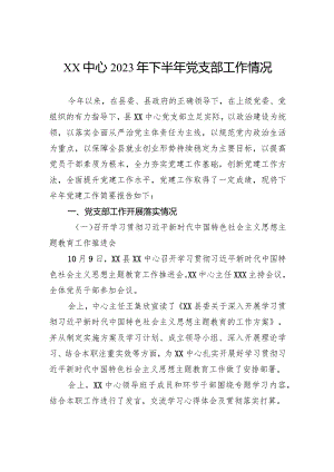 2023年下半年党支部工作情况.docx