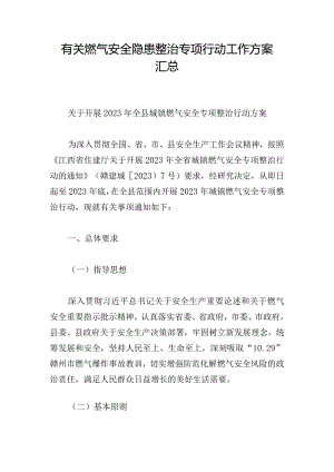 有关燃气安全隐患整治专项行动工作方案汇总.docx