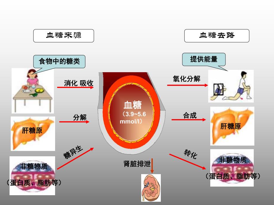糖尿病相关知识(PPT 精品) .ppt_第2页