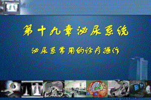 第十九章泌尿系统泌尿系常用的诊疗操作.ppt