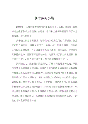 护士实习小结.docx