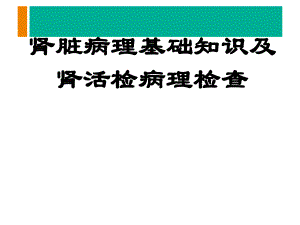 肾活检病理检查及肾脏病理基础知识.ppt.ppt