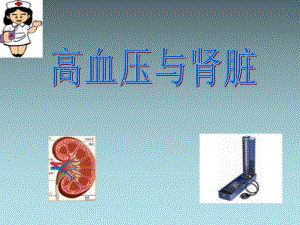 高血压与肾脏.ppt