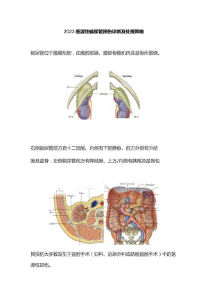 2023医源性输尿管损伤诊断及处理策略.docx