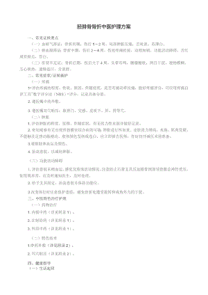 胫腓骨骨折中医护理方案.docx