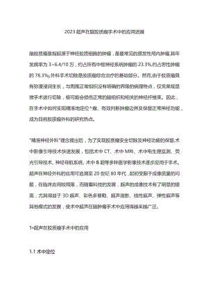 2023超声在脑胶质瘤手术中的应用进展.docx