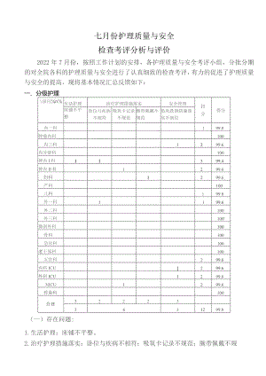 护理质量与安全检查考评分析与评价.docx