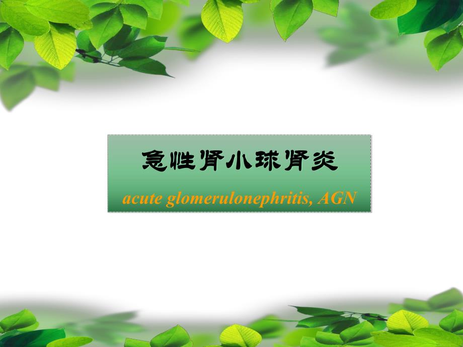 第三节急性肾小球肾炎.ppt_第2页