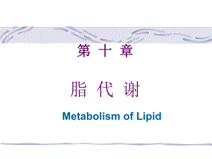 脂代谢培训教学PPT.ppt