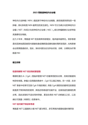 2023胃肠道神经内分泌瘤.docx