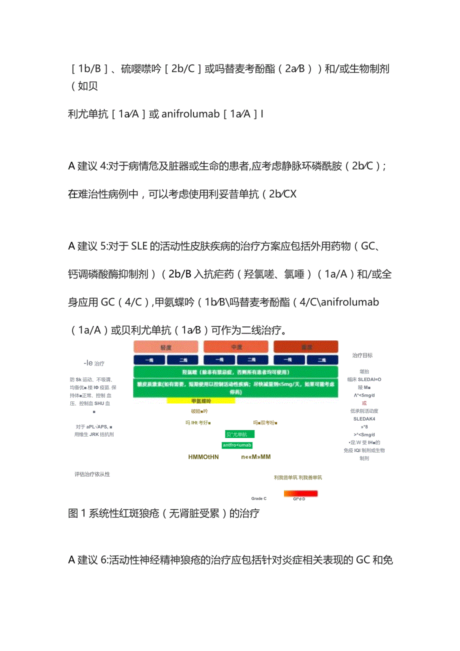 2023版EULAR狼疮管理建议要点(附流程图).docx_第3页