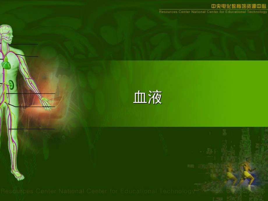 血浆的成分.ppt_第1页