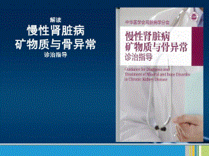 解读慢性肾脏病矿物质与骨异常诊治指导 2.ppt