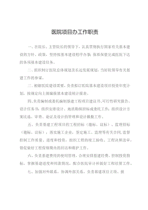 医院项目办工作职责.docx