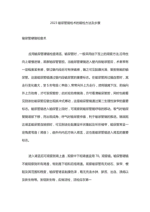 2023输尿管镜检术的镜检方法及步骤.docx