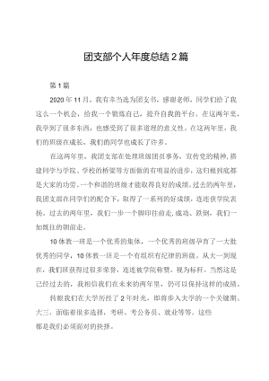 团支部个人年度总结2篇.docx