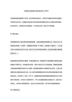 淀粉酶与脂肪酶升高的临床意义2024.docx