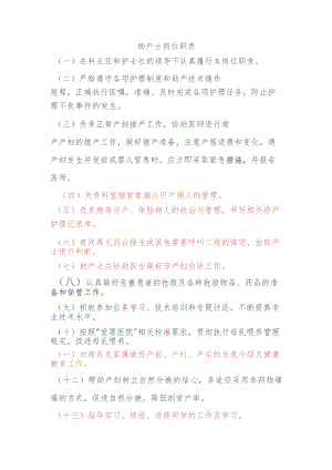 助产士岗位职责.docx